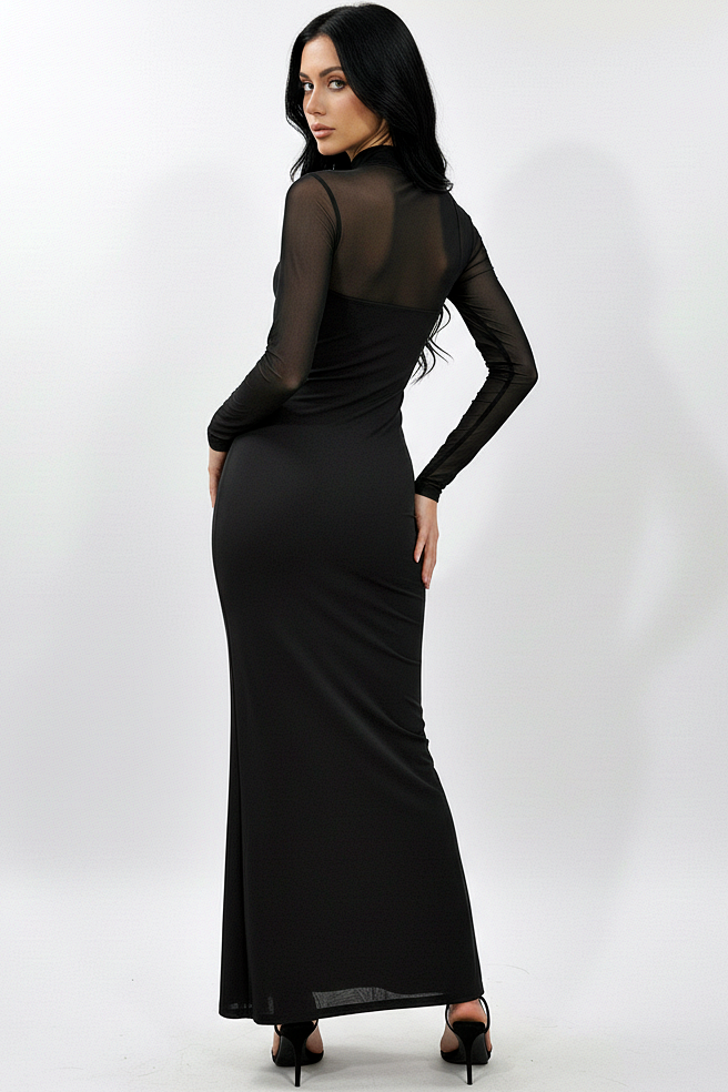 Mesh Long Sleeve Dress