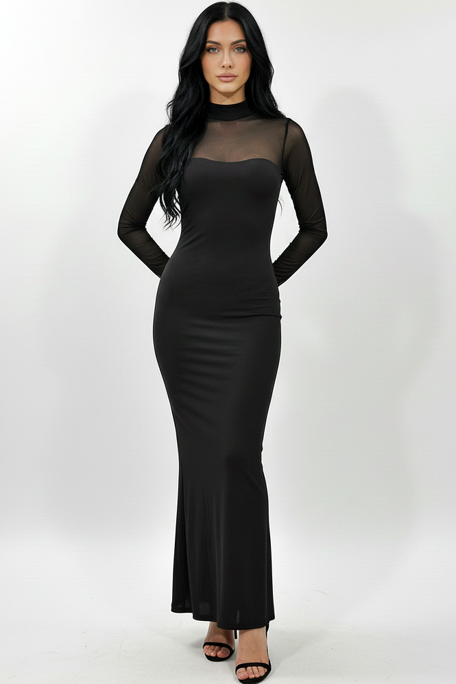 Mesh Long Sleeve Dress